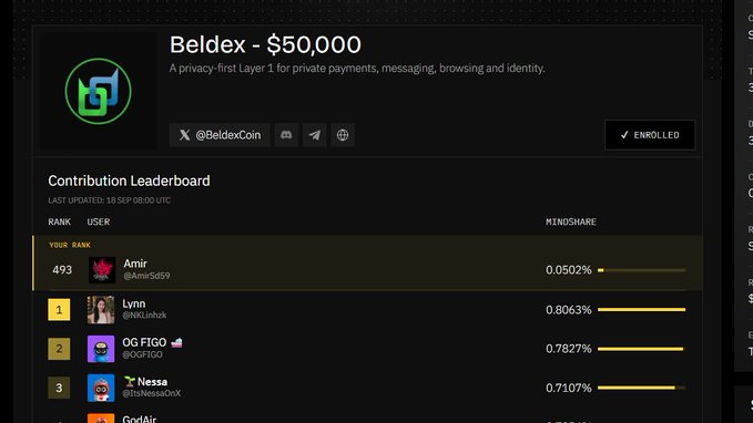 A Beldex ($50,000) contribution leaderboard showing the user 'Amir' ranked 493rd with 0.0502%, behind top contributors Lynn, OG FIGO, and Nessa.