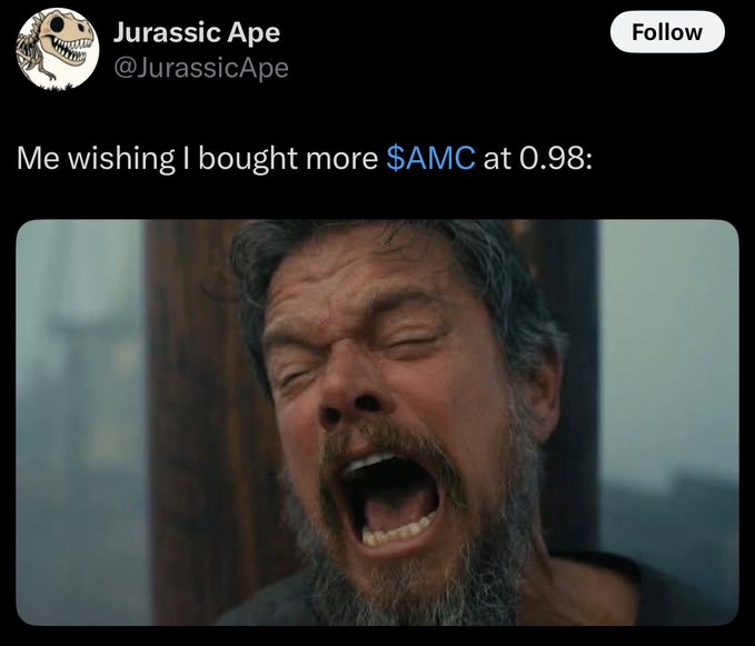 A tweet from Jurassic Ape (@JurassicApe) shows a screaming Leonardo DiCaprio meme with the caption "Me wishing I bought more $AMC at 0.98," expressing regret over missing AMC stock at a low price. The post pairs this nostalgic regret with a promotional message encouraging users to bridge to Robinhood Crypto to buy $AMC, promising a potential 1000x gain.