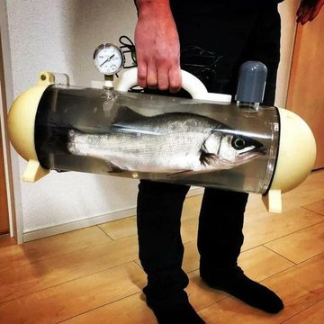 A person holds a unique cylindrical transparent bag with a pressure gauge and handle, containing a whole raw fish submerged in liquid, standing on a tiled floor. The accompanying text appears to be a viral social media post with view count and a long alphanumeric string, likely a memecoin or crypto-related identifier, humorously treating the fish-in-a-bag contraption as an absurd "product" or novelty item.