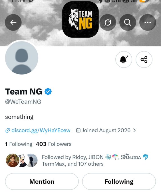 A Twitter/X profile screenshot for 'Team NG' (@WeTeamNG) showing 1 Following and 403 Followers, with bio 'something' and a Discord link.