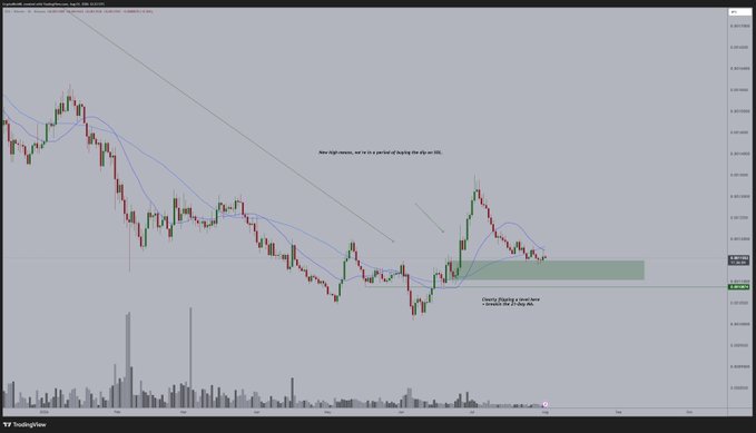 A SOL/USD chart on a 2-day timeframe showing a sharp rally followed by a correction, with annotations noting "New high means we're in a period of buying the dip on SOL" and "Careful dipping is sometimes a signal that a dip is in," alongside a green demand zone around $0.30-$0.35 and volume bars below—illustrating the post's point that the recent pullback offers a strategic accumulation opportunity rather than chasing the prior pump.