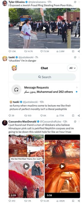 A Twitter/X feed showing posts from Tyler Oliveira about a Jewish fraud ring stealing from poor kids, taoki saying "chuckles I'm in danger," and Cassandra MacDonald comparing pink Himalayan salt to a 'petrified Nephilim corpse' next to TikTok food videos.