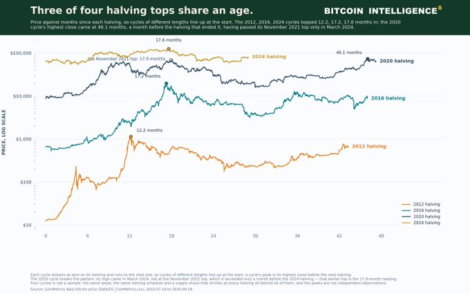 A Bitcoin Intelligence chart titled 'Three of four halving tops share an age' showing price performance in months since each Bitcoin halving (2012, 2016, 2020, 2024), with tops occurring at 12.2, 17.6, and 46.1 months on a logarithmic price scale.