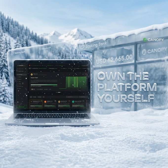 A laptop displaying the Canopy Network dashboard sits in a snowy mountain landscape alongside a "Staking Bank" panel showing "USD 62,665.00" and the tagline "OWN THE PLATFORM YOURSELF," visually reinforcing the message about taking control of your own blockchain infrastructure rather than depending on external networks.