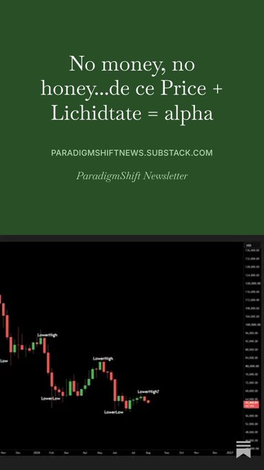 The image displays a green title card reading "No money, no honey...de ce Price + Lichidtate = alpha" from ParadigmShift Newsletter (paradigmshiftnews.substack.com), positioned above a bearish financial chart marked with "Lower High" and "Lower Low" annotations, visually supporting the post's message about declining prices across DXY, SP500, Bitcoin, and Ethereum as markets open a new month in the red.
