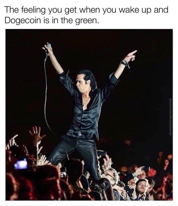 A meme captioned "The feeling you get when you wake up and Dogecoin is in the green" features a triumphant musician on top of a cheering crowd with arms raised.
