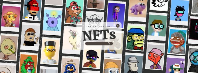 A banner for 'THE NFT ACADEMY' featuring the text 'NFTs' over a collage of various colorful NFT character artworks.