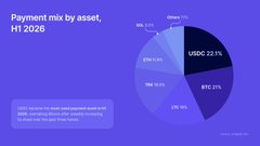 A pie chart titled 'Payment mix by asset, H1 2026' showing USDC at 22.1% and BTC at 31% as the largest segments.