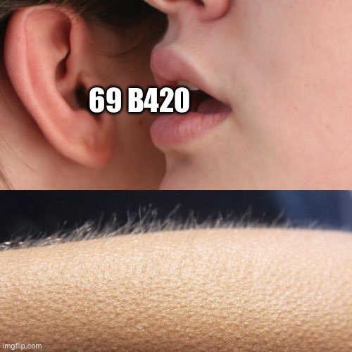 A suggestive meme with an ear and whispering mouth captioned '69 B420' above an image of arm hair, tagged with imgflip.com.