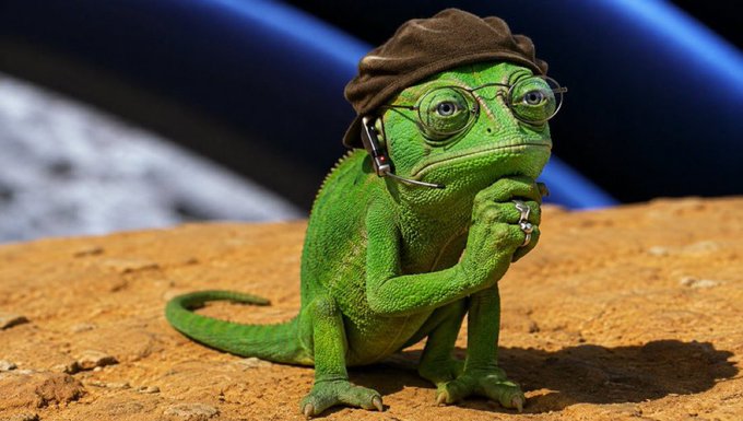 A green chameleon wearing a small brown hat and round glasses sits on a rocky surface, resting its chin on its hand in a thoughtful pose—capturing the contemplative spirit of "Observing."