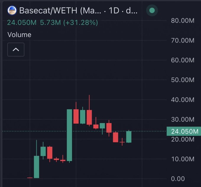 A daily candlestick chart for **Basecat/WETH** on what appears to be Uniswap, showing a current volume of **24.050M (up 31.28%)** with a notable price spike to ~40M volume followed by a pullback, supporting the post's speculation that a bottom may have formed for $Basecat akin to the earlier $CASHCAT setup.