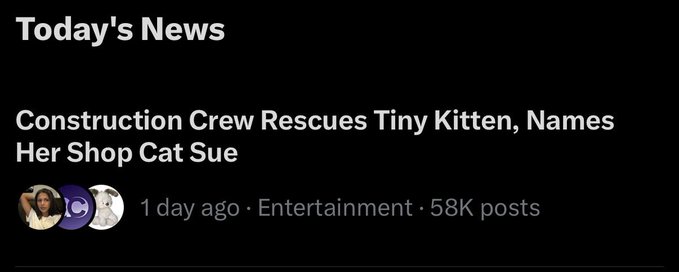 A screenshot of a trending news headline from a social media platform reads "Construction Crew Rescues Tiny Kitten, Names Her Shop Cat Sue," posted 1 day ago in Entertainment with 58K posts, which the accompanying post references as the origin story for the $Sue meme coin and questions why it's being traded on the BNB chain.