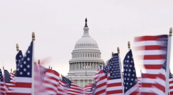 The U.S. Capitol dome is framed by rows of American flags waving in the foreground against an overcast sky.
