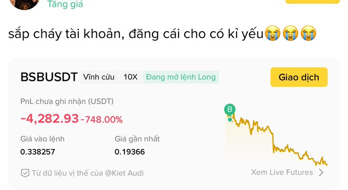 A user shares their Binance BSBUSDT perpetual futures long position showing a massive unrealized loss of -$4,282.93 (-748.00%), having entered at 0.338257 while the current price has dropped to 0.19366, illustrating the consequences of trading futures without a stop-loss as warned in their caption.