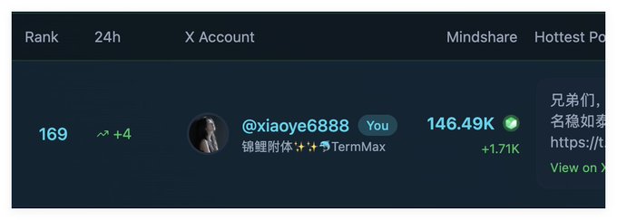 The image shows a screenshot of a social media account page, specifically an Instagram page that has been rated highly by users. Users have rated the post as number one hot on their feeds. There are many comments posted about the post, some positive and others negative or in between. One post mentions the user "@TermMaxFi". The caption reads "基于TMX假设稀疏会大顿@TermMaxFi".