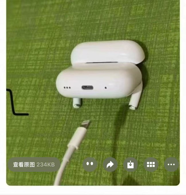 An image viewer interface displays a photo of white wireless earbuds in their charging case next to a USB cable on a green textured surface, with "查看原图 234KB" visible at the bottom.