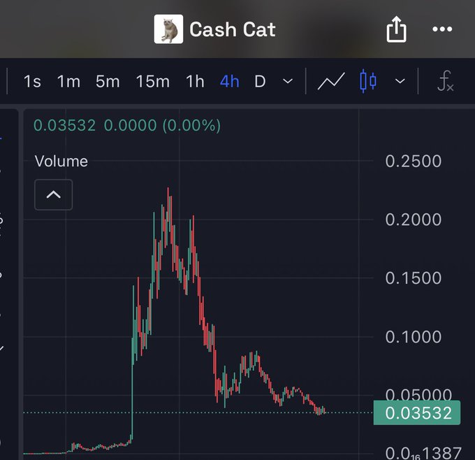 A financial chart displays "Cash Cat" (CASH) trading at 0.03532 with 0.00% change, showing a sharp pump to ~0.20 followed by a steep decline back to current levels. The chart visually illustrates the post's frustration about short-term holders dumping the token before any sustained gains, as evidenced by the dramatic spike-and-crash pattern over the 4-hour timeframe.