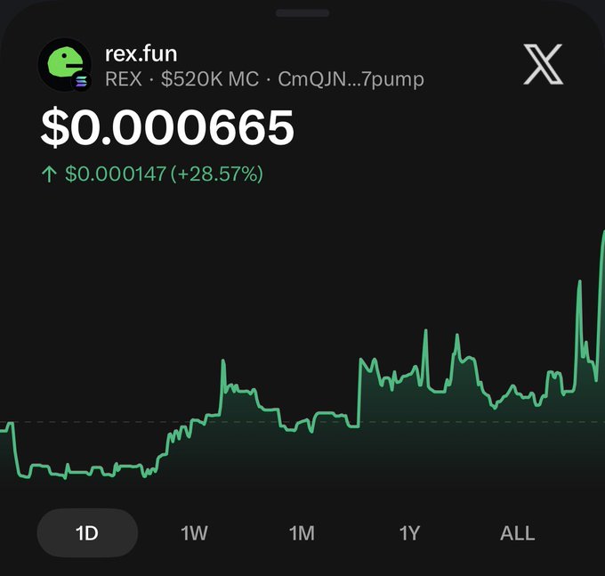 A cryptocurrency chart for 'rex.fun' token (REX) showing a price of $0.0000665 with a 24-hour gain of +28.57% (↑$0.000147), a $520K market cap, displayed on a dark background with the 1D timeframe selected.