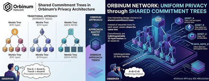 An infographic titled "ORBINUM NETWORK: UNIFORM PRIVACY through SHARED COMMITMENT TREES" comparing Traditional and Orbinum approaches to privacy architecture across Ethereum, Bitcoin, and Data-Note Merkle Trees.