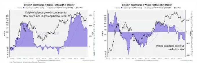 The image presents two graphs showing Bitcoin ownership trends over time. The first graph displays the decreasing trend of Bitcoin ownership while the second one shows an increase in Bitcoin wallets holding at least 1,000 Bitcoins. The data indicates that there has been a decline in Bitcoin ownership, with fewer people holding onto their Bitcoins compared to previous years. This pattern also extends to whale wallets, which are the largest Bitcoin wallets in terms of total value held by individual users. These wallet balances have nearly dropped to zero, indicating a downward trend in Bitcoin holdings overall. The graphs serve as visual aids to understanding these trends and can be used to analyze or discuss Bitcoin ownership patterns and user behavior.