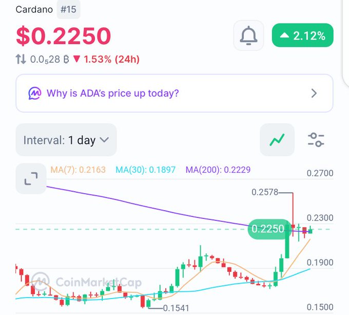 A CoinMarketCap chart for Cardano (ADA) showing a current price of $0.2250, up 2.12%, with moving averages (MA7: 0.2163, MA30: 0.1897, MA200: 0.2229) plotted over a 1-day interval.