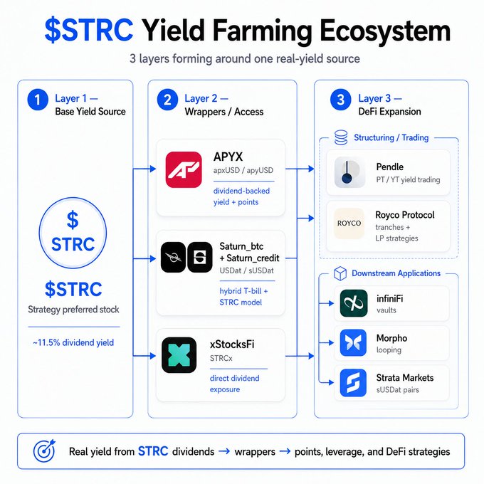 The image shows a complex network diagram showing a yield farming ecosystem. It starts with three layers forming around one real-world source of income - the yield itself. These sources include strategy, dividend stream, wrapper products, vaults, PT/YT markets, looping strategies and points farming. The diagram is in blue, green, red, and white colors to represent different elements within this ecosystem. A caption below the image reads "Real yield from STRC should be used as real yield".