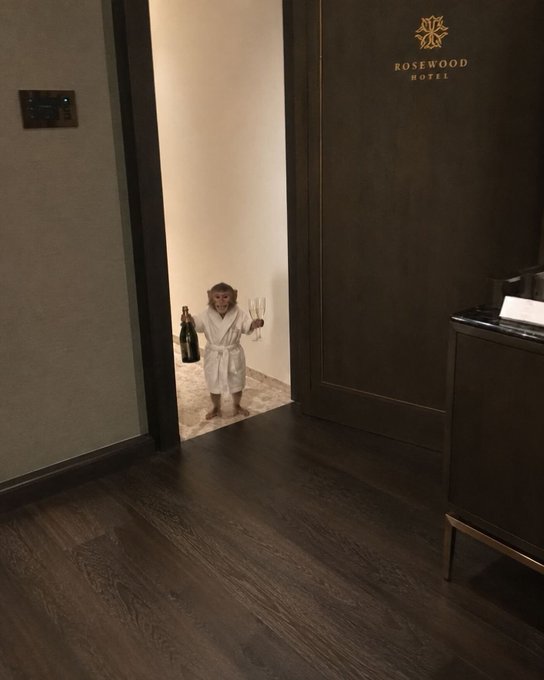 A small monkey wearing a white bathrobe and holding champagne flasks stands in a hallway near a Rosewood Hotel door.