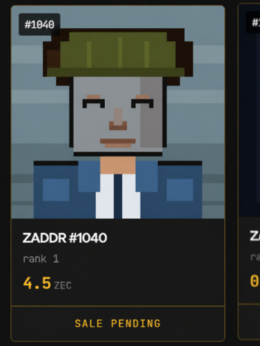 A pixel art NFT character named 'ZADDR #1040' with rank 1 and a price of 4.5 ZEC, marked as 'SALE PENDING'.