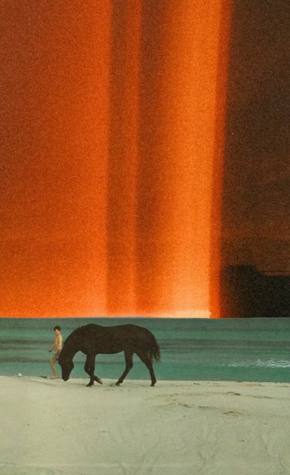 An artistic photo shows a dark horse grazing on a sandy beach next to a turquoise sea, with a massive, glowing orange waterfall cascading down a rock wall in the background.