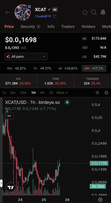 A cryptocurrency trading app screenshot showing XCAT token priced at $0.3 (0.1393 SOL) with a 17.7% gain in 24H, displayed alongside a candlestick chart on the XCAT/USD 1-hour timeframe.