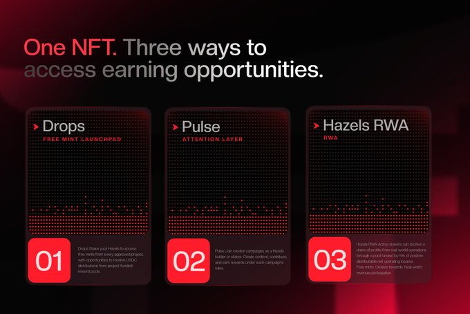 A promotional graphic titled 'One NFT. Three ways to access earning opportunities' lists 'Drops', 'Pulse', and 'Hazels RWA' in numbered panels.