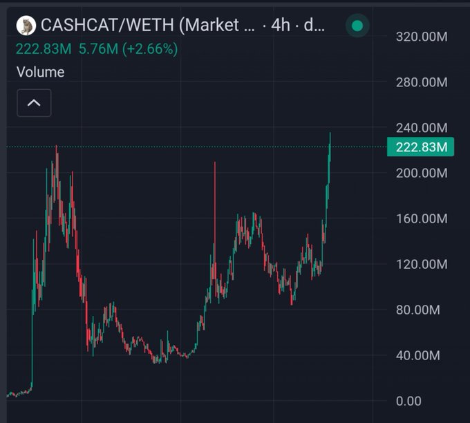 A cryptocurrency trading chart showing CASHCAT/WETH (Market) volume at 222.83M, up 5.76M (+2.66%).