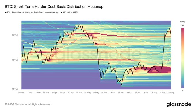 The image is a Glassnode heatmap titled "BTC: Short-Term Holder Cost Basis Distribution Heatmap" showing Bitcoin's price (black line) ranging between roughly $57K-$72K from March to August, with cost basis supply concentrations (color-coded red/yellow) visible around the $67K-$72K zone and a notable shift in short-term holder cost basis toward lower levels near $60K-$65K in late July/August. This supports the post's analysis, as the heatmap visually confirms that the $77K level represents a key support area while the $60K zone shows emerging short-term holder accumulation that could serve as a strong on-chain cost basis support if prices revisit those levels.