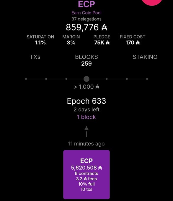 The image shows a detailed breakdown of how much time has been spent mining Cardano blocks, as well as other data. It highlights an upcoming mining session with ECP (Ethereum Pool Contract), emphasizing that only those who have already agreed will participate in the mining pool. The image is rich in information and provides useful context for the viewer about the project being discussed.