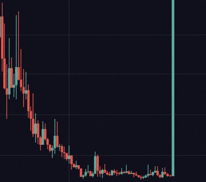 A candlestick chart showing a steep downtrend in price followed by consolidation at low levels, with a dramatic vertical green spike on the right—visually illustrating the post's "1000x" claim for a "best meme project." The chart depicts a classic pattern of prolonged decline and bottoming before a sudden, parabolic breakout.