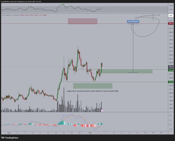 A TradingView 4-hour candlestick chart of TAO/USDT shows price consolidating around $235.2 with technical analysis highlighting a "Larger-term correction level to enter before it turns towards 300+" and an annotated projection toward $295.0, aligning with the post's bullish outlook that a hold above $230 could drive a rally to $290–300.