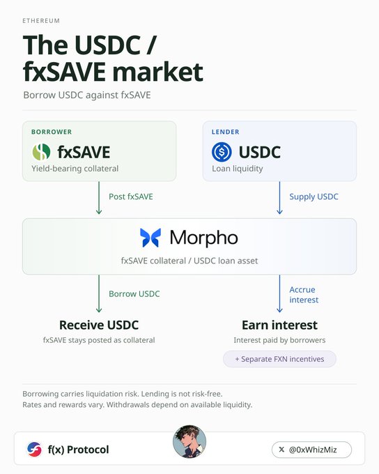 An infographic titled 'The USDC / fxSAVE market' on Ethereum, explaining how borrowers post fxSAVE as yield-bearing collateral to borrow USDC through Morpho, while lenders supply USDC to earn interest, with branding from 'f(x) Protocol' and '@OxWhizMiz'.