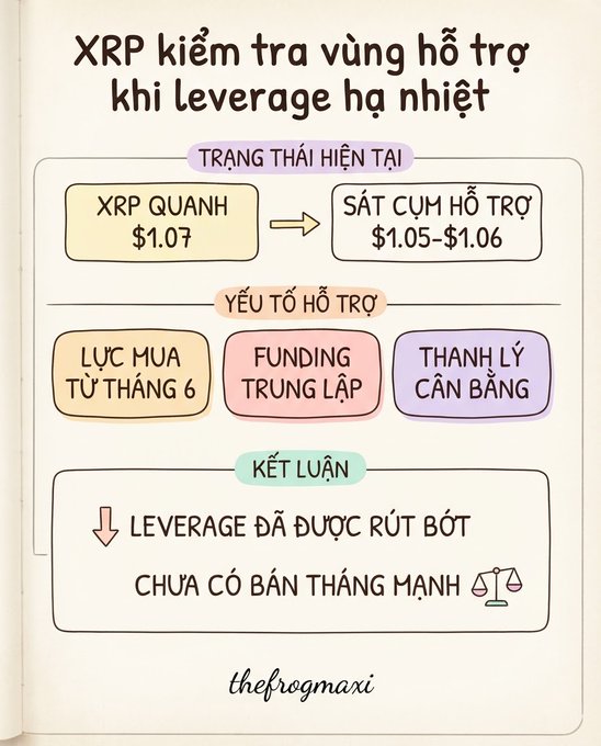A Vietnamese-language crypto analysis infographic titled "XRP kiểm tra vùng hỗ trợ khi leverage hạ nhiệt" showing XRP's current price at $1.07 near a $1.05-$1.06 support cluster, concluding that leverage has been reduced with no strong selling pressure yet, by thefrogmaxi.