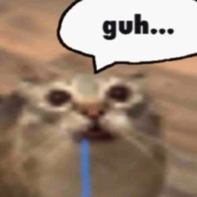 A blurry low-resolution meme image of a kitten with a speech bubble saying 'guh...'.