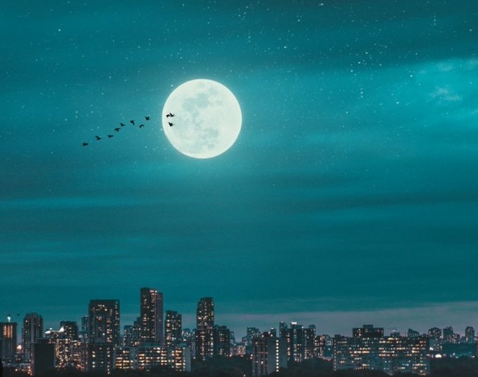 A scenic nighttime cityscape with a large full moon and a flock of birds silhouetted against a teal-colored starry sky above illuminated skyscrapers.