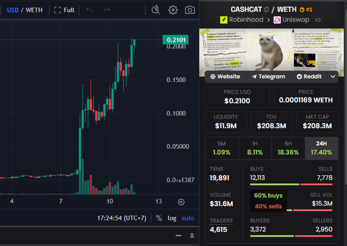 A cryptocurrency trading interface displays a price chart for 'USD / WETH' at $0.2100, alongside a token information panel for 'CASHCAT / WETH' on Robinhood and Uniswap v3, showing 19,891 transactions and a 17.40% 24H gain.