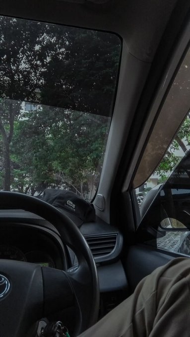A view from inside a car shows the steering wheel, dashboard, and a window looking out at trees and parked vehicles.
