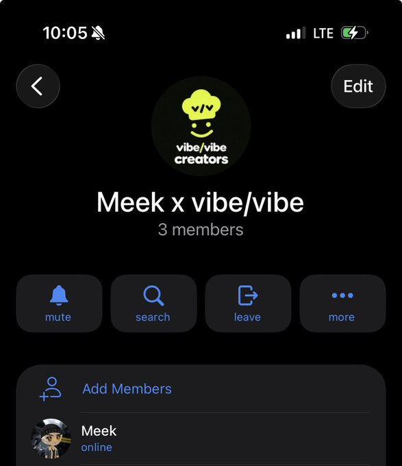 An iMessage group chat screenshot titled 'Meek x vibe/vibe' with 3 members, featuring a 'vibe/vibe creators' logo with a green smiley face mushroom icon, showing options to mute, search, leave, or add members.