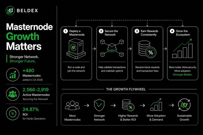 An infographic for BELDEX titled 'Masternode Growth Matters' showing a four-step process (Deploy, Secure, Earn Rewards, Grow Ecosystem) with stats: +480 masternodes added in Q1 2026, 2,568-2,919 active masternodes, and 24.87% ROI.