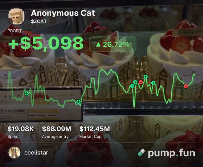 The image shows a pump.fun trading dashboard displaying a profit of +$5,098 (+26.72%) on the $ZCAT token ("Anonymous Cat"), with stats showing $19.08K spent, an $88.09M average entry, and $112.45M market cap, overlaid on a background of strawberry cakes. The image illustrates the post's message by showcasing a successful meme coin trade that profited from buying and holding, with the green price chart visualizing the "buy dips and chill" strategy in action.
