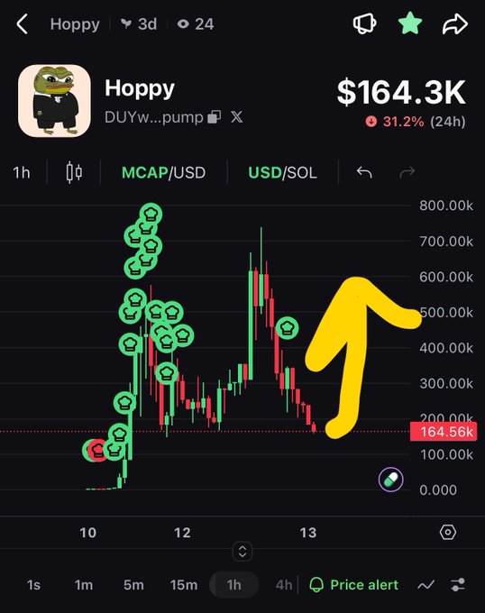 A Dexscreener-style crypto price chart for the 'Hoppy' (DUYw...pump) token showing a market cap of $164.3K, down 31.2% in 24h, with a yellow upward arrow drawn over the chart.