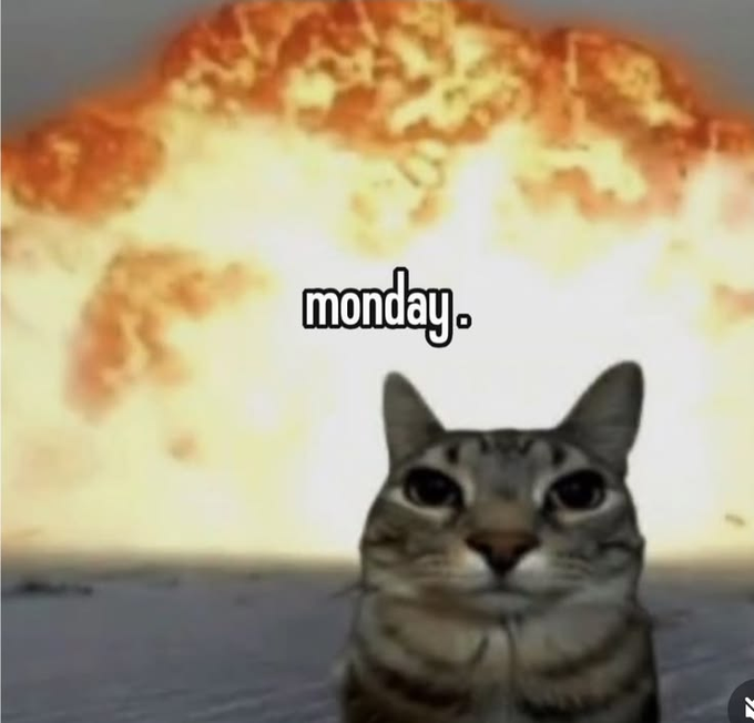 A meme featuring a wide-eyed cat with a massive mushroom cloud explosion in the background, captioned "monday."