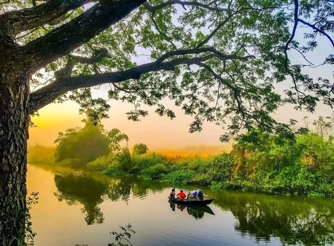 In this image, there are three people enjoying a boat ride down a river under a large tree. The group of friends appears to be having a great time together as they navigate through the calm waters. The scene takes place during sunrise or sunset, adding a serene atmosphere to their adventure. The photo is taken from an elevated perspective, providing a clear view of the people and the boat on the river.