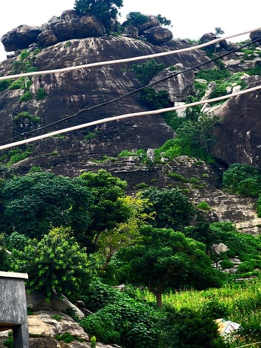 A rocky cliff face covered with green vegetation and trees, with power lines stretching across the foreground.