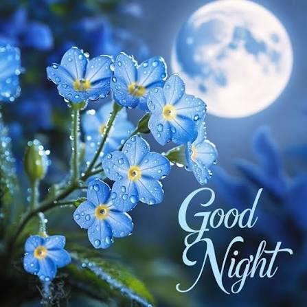 A decorative image featuring blue flowers with water droplets, a large moon in the background, and the text 'Good Night' in elegant script.
